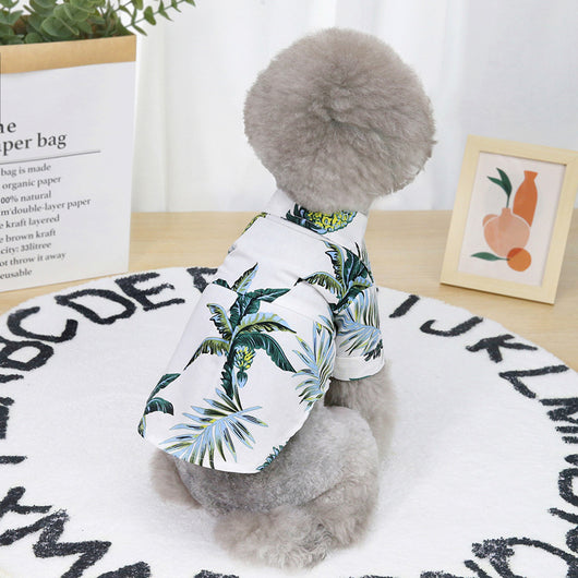 Ropa Fresca para Perros - Prendas Ligeras de Verano - Image 6