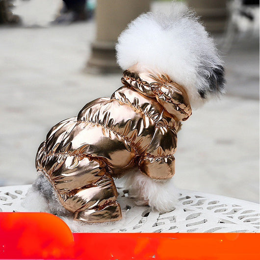Ropa para Perros Pomerania y Bichón - Abrigos y Suéteres Elegantes - Image 7