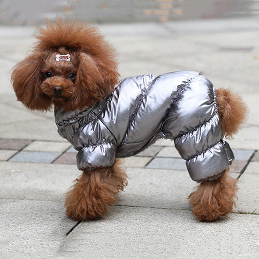 Ropa para Perros Pomerania y Bichón - Abrigos y Suéteres Elegantes - Image 9