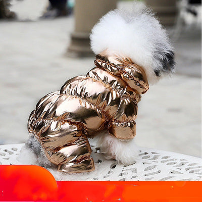 Ropa para Perros Pomerania y Bichón - Abrigos y Suéteres Elegantes - Image 3