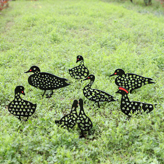 Decoración de Jardín con Figuras de Gallinas - Estacas para Patio y Huerto - Image 6