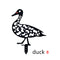 Pato B