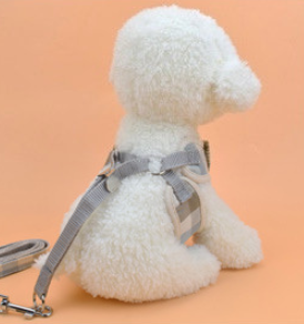 Arnés de Pecho para Perros y Gatos - Image 6