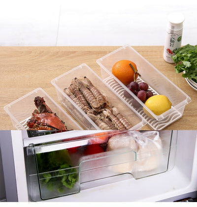Contenedor Hermético para Pescado, Frutas y Verduras Frescos - Image 7
