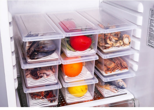 Contenedor Hermético para Pescado, Frutas y Verduras Frescos - Image 6