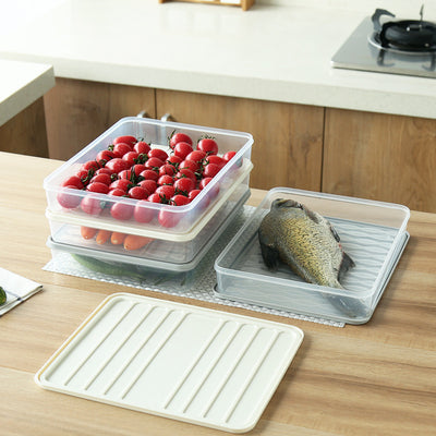 Contenedor Hermético para Pescado, Frutas y Verduras Frescos - Image 10
