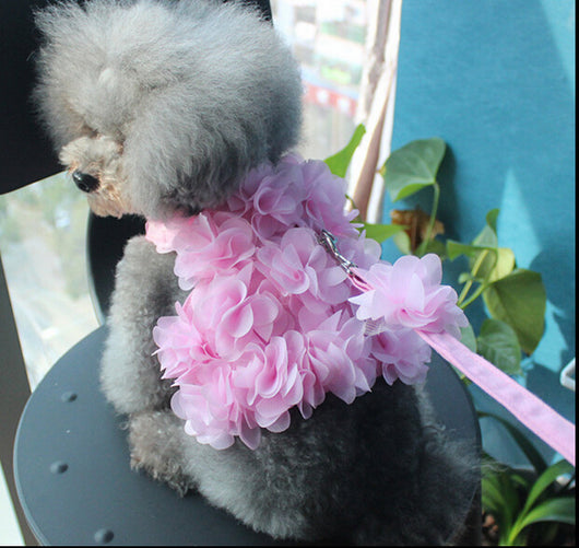 Correa para Perro con Flores Tridimensionales - Image 12