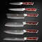 Juego de 6 Cuchillos Damasco Profesional Chef