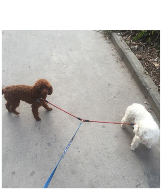 Cuerda de Tracción Doble para Mascotas - Image 8