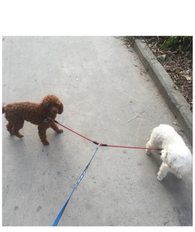 Cuerda de Tracción Doble para Mascotas - Image 3