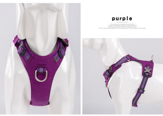 Arnés Reflectante Impermeable para Perros con Fibra Super Resistente - Image 12