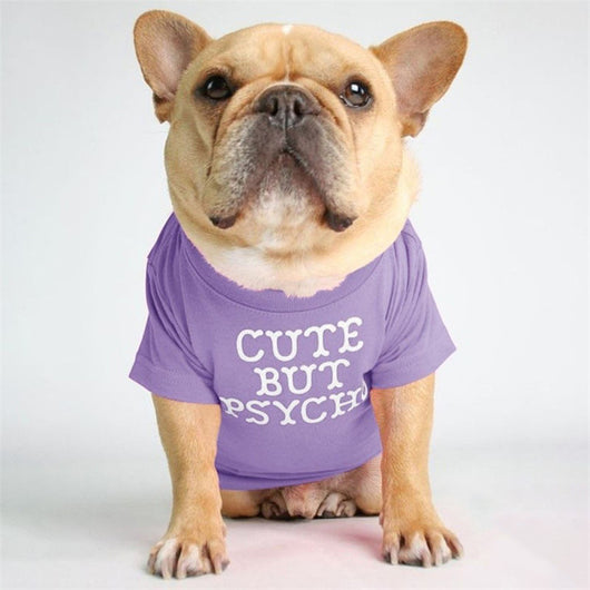 Polera Cuello Alto Bichon Diseño Japonés y Coreano - Image 18