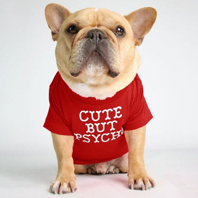 Polera Cuello Alto Bichon Diseño Japonés y Coreano - Image 21