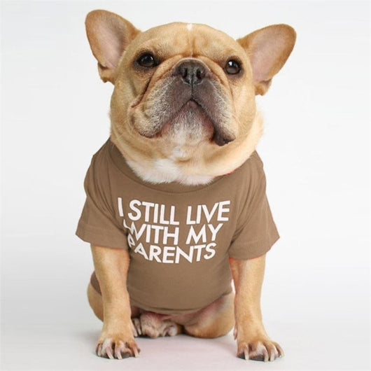 Polera Cuello Alto Bichon Diseño Japonés y Coreano - Image 26