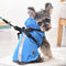 Impermeable para Perros con Protección Dorsal - Resistente al Agua y Nieve