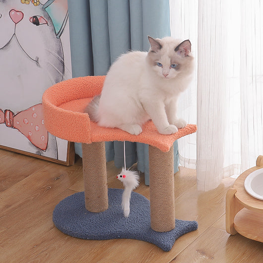Plataforma de Saltos para Gatos Tianzhu con Nido Integrado - Image 7