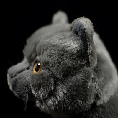Peluche Gato Azul Británico de Shorthair - Muñeco Adorable - Image 9