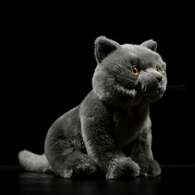 Peluche Gato Azul Británico de Shorthair - Muñeco Adorable - Image 8