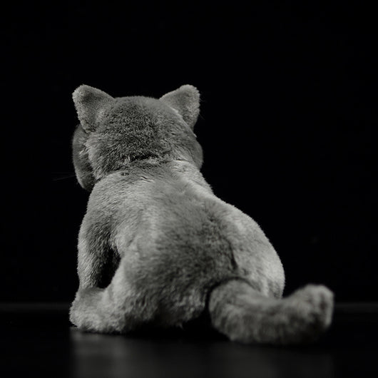 Peluche Gato Azul Británico de Shorthair - Muñeco Adorable - Image 10