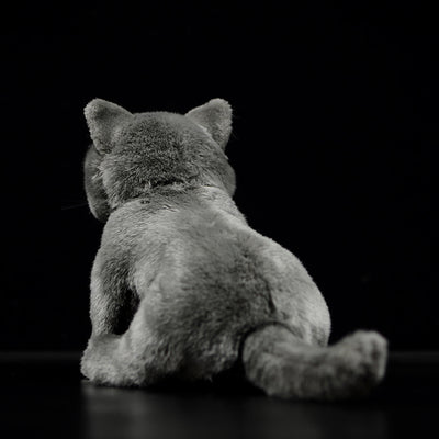 Peluche Gato Azul Británico de Shorthair - Muñeco Adorable - Image 2