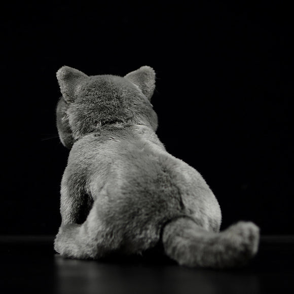 Peluche Gato Azul Británico de Shorthair - Muñeco Adorable
