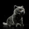 Peluche Gato Azul Británico de Shorthair - Muñeco Adorable