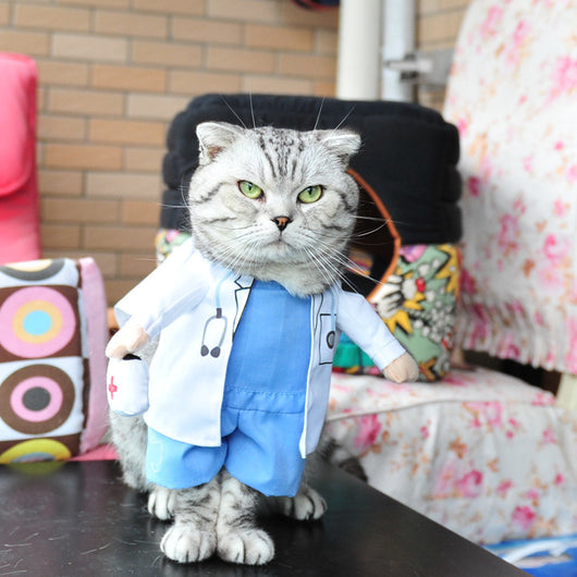 Disfraz para Mascotas - Ropa de Cosplay y Rol para Perros y Gatos - Image 8