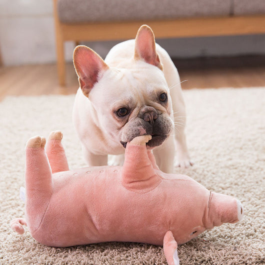Juguete para Perros Cerdo Durmiente - Image 3