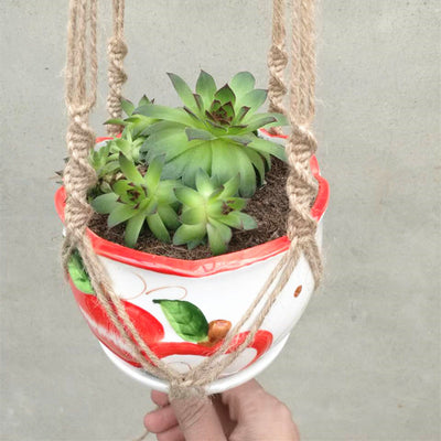 Maceta Colgante de Red para Plantas - Sistema de Suspensión Versátil - Image 9