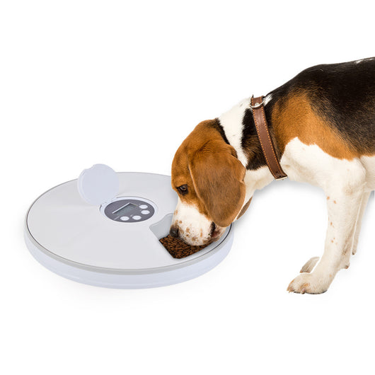 Dispensador Automático de Alimento para Mascotas con 6 Compartimentos y Temporizador