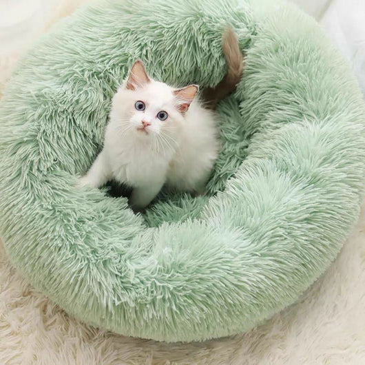Cama Redonda Acogedora para Perros y Gatos Pequeños - Image 8