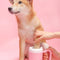 Limpiador de Patas para Mascotas - Copa Lavadora Silicona Suave