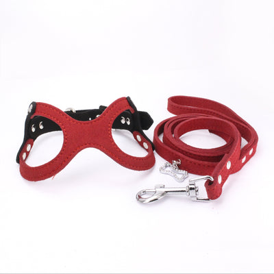 Arnés Pectoral para Mascotas Diseño Gafas - Image 11