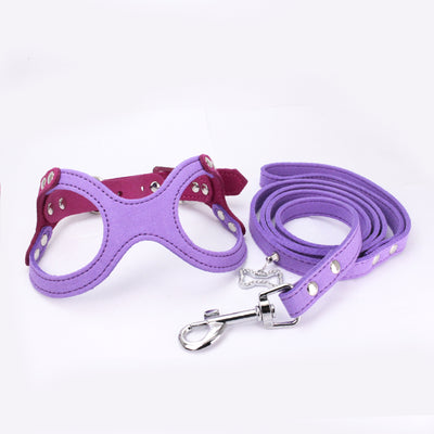 Arnés Pectoral para Mascotas Diseño Gafas - Image 3