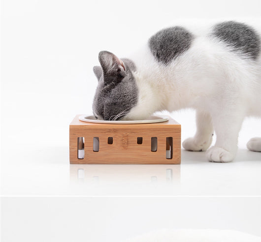 Comedero para Gatos de Cerámica con Base de Madera Maciza - Image 7