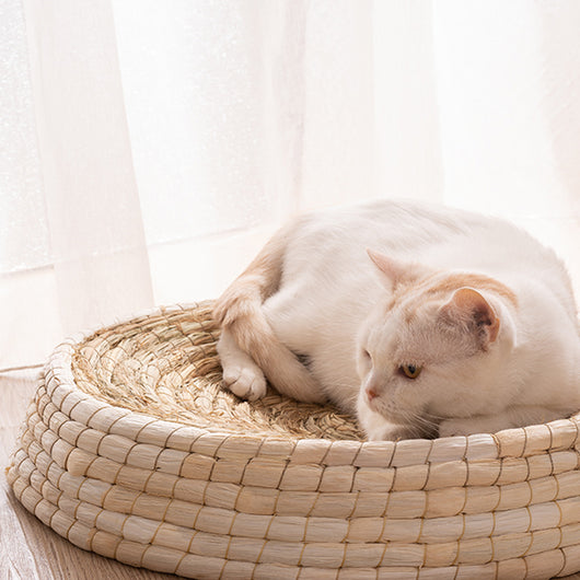 Casa Cama para Gatos de Fieltro Teng Wok - Image 4
