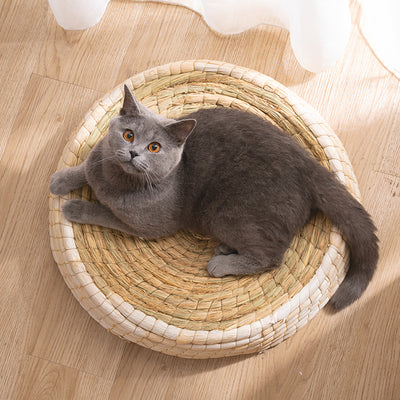 Casa Cama para Gatos de Fieltro Teng Wok - Image 6