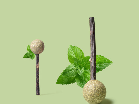 Pelota Catnip Interactiva para Gatos