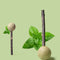 Pelota Catnip Interactiva para Gatos
