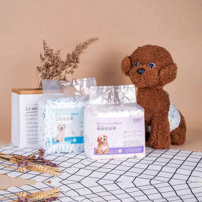 Pañales para Mascotas Absorbentes con Protección Antiescapes - Image 4
