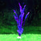 Morado A