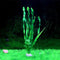 Verde C