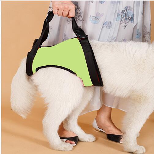 Cinturón de Apoyo para Patas Traseras de Perros Ancianos - Image 8