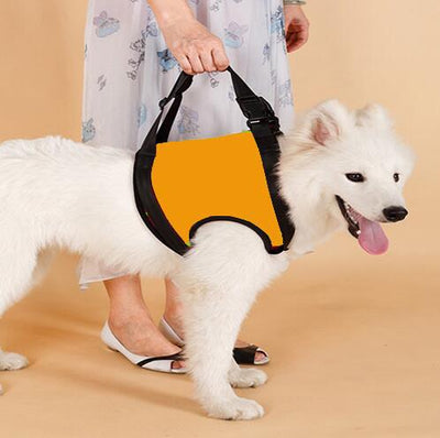 Cinturón de Apoyo para Patas Traseras de Perros Ancianos - Image 4