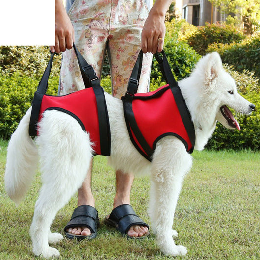 Cinturón de Apoyo para Patas Traseras de Perros Ancianos