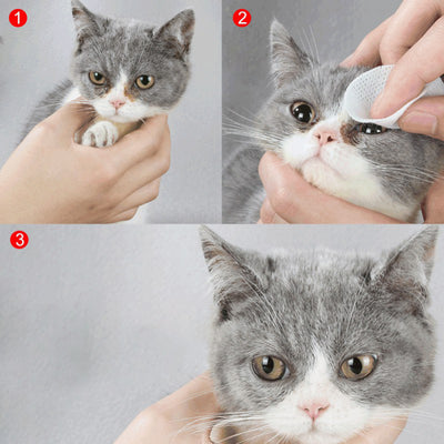 Toallitas de Limpieza Ocular para Mascotas - Perros y Gatos - Image 10