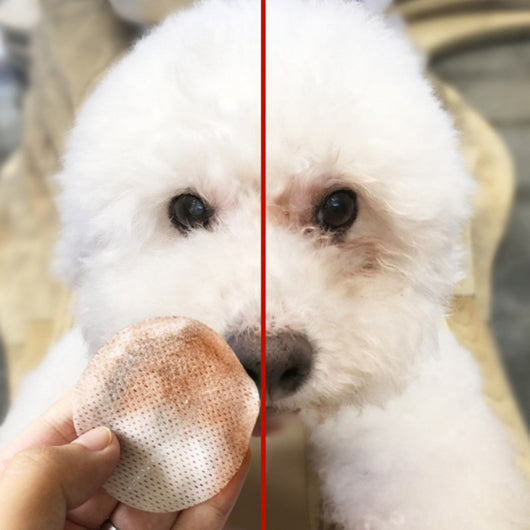 Toallitas de Limpieza Ocular para Mascotas - Perros y Gatos - Image 8