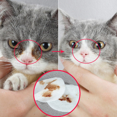 Toallitas de Limpieza Ocular para Mascotas - Perros y Gatos - Image 3