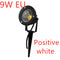 Branco Positivo 12 W Pino EU