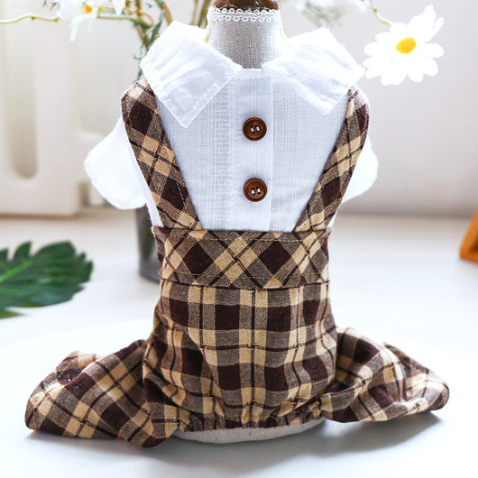Ropa a Juego para Mascotas - Outfits Coordinados para Perros y Gatos - Image 8
